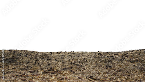 Forest floor with grass and dry logs on a transparent background