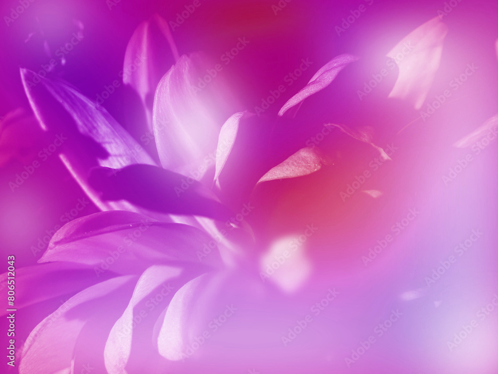 Blurred ethereal flower with elegant petals, red and orange colored, toned spring fairy tale background, mysterious floral abstract pattern Blurred ethereal flower with elegant petals, red and orange colored, toned spring fairy tale background, mysterious floral abstract pattern