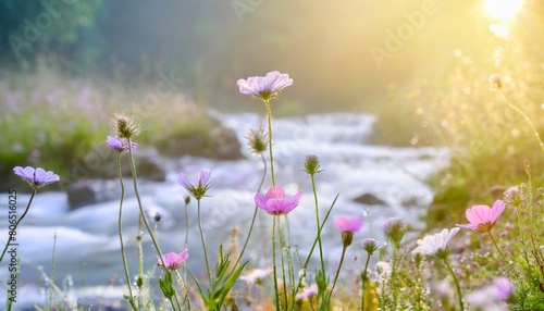 川沿いに咲く美しい花、森の中の自然の風景