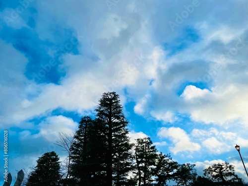 青空と木の背景