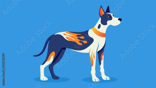 A harlequin Great Dane being treated with thermal imaging providing crucial information for managing its joint pain and arthritis.. Vector illustration
