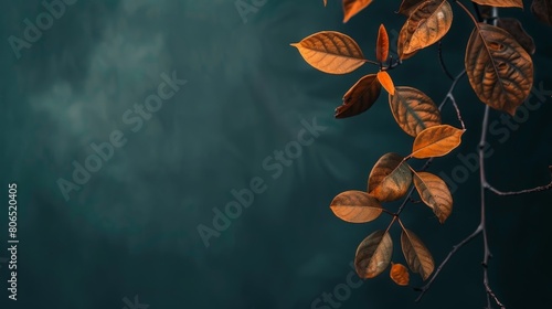 The autumn leaves on a dark background.