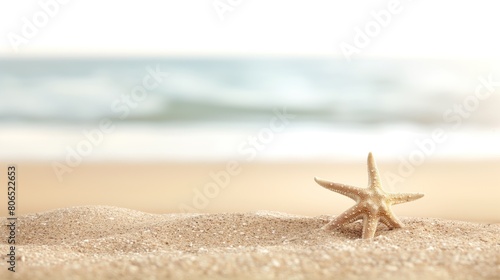 Fundo fotográfico de verão, apresentando uma bela praia com fundo desfocado e uma estrela do mar em destaque.