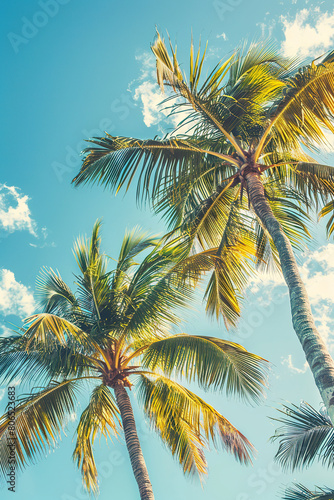 Tropical Palm Trees Against Blue Sky © lermont51