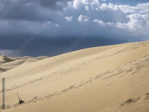 sand dunes in the desert