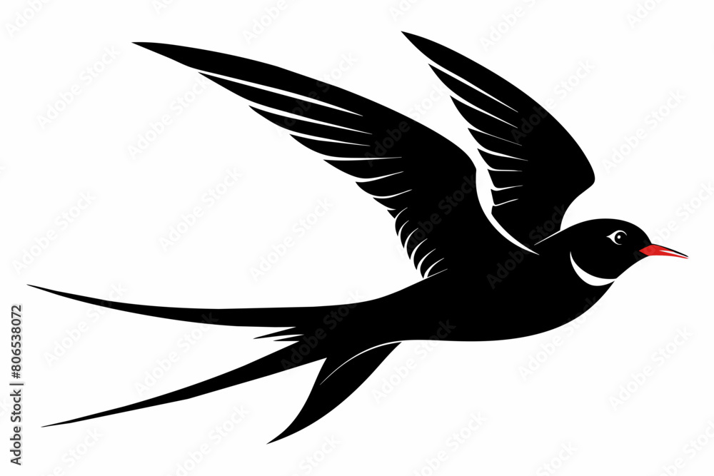 Obraz premium Tern silhouette on white background, Vector illustration, icon, svg, characters, Holiday t shirt, Hand drawn trendy Vector illustration, illustration of a seagu