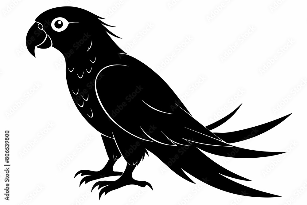 Obraz premium Parrot silhouette on white background, Vector illustration, bird, icon, svg, characters, Holiday t shirt, Hand drawn trendy Vector illustration, illustration of a seagull 