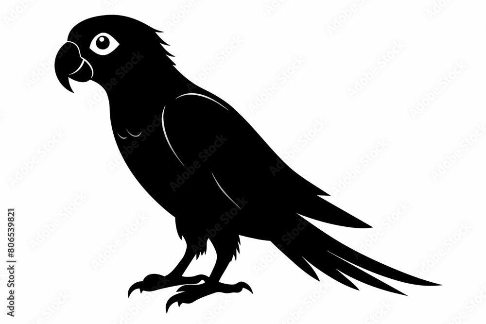 Fototapeta premium Parrot silhouette on white background, Vector illustration, bird, icon, svg, characters, Holiday t shirt, Hand drawn trendy Vector illustration, illustration of a seagull