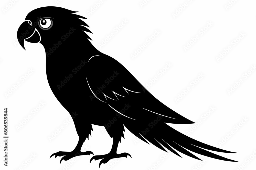 Obraz premium Parrot silhouette on white background, Vector illustration, bird, icon, svg, characters, Holiday t shirt, Hand drawn trendy Vector illustration, illustration of a seagull 