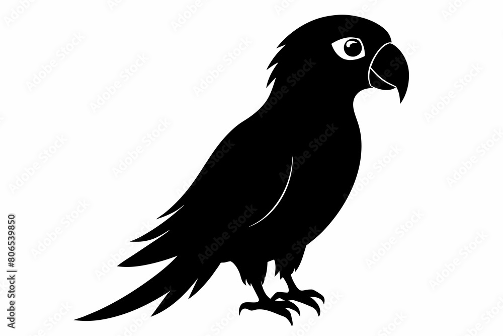 Obraz premium Parrot silhouette on white background, Vector illustration, bird, icon, svg, characters, Holiday t shirt, Hand drawn trendy Vector illustration, illustration of a seagull 