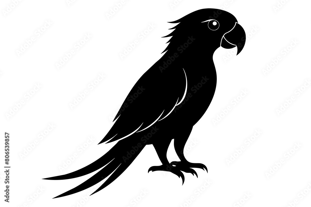 Obraz premium Parrot silhouette on white background, Vector illustration, bird, icon, svg, characters, Holiday t shirt, Hand drawn trendy Vector illustration, illustration of a seagull 