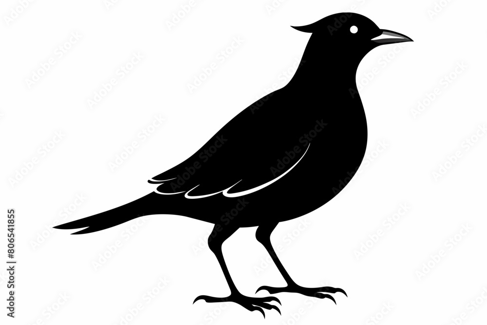 Fototapeta premium Lark silhouette on white background, Vector illustration, bird, icon, svg, characters, Holiday t shirt, Hand drawn trendy Vector illustration, crow on a white