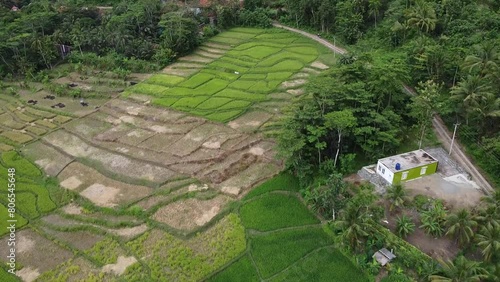 Expanse of rice fields using drones