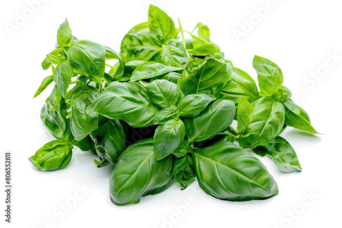 Basil leaves, aromatic green