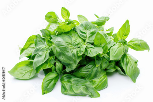 Basil leaves, aromatic green