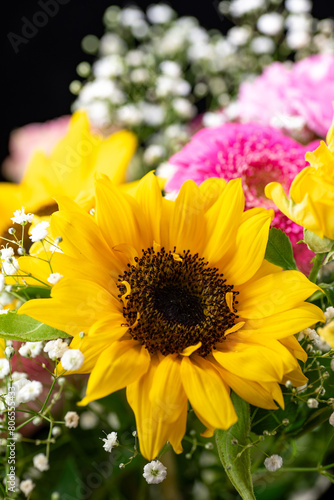 Sun flower (Helianthus annuus) in a bouquet