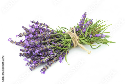 A fresh bunch of lavender with purple flowers and a calming aroma