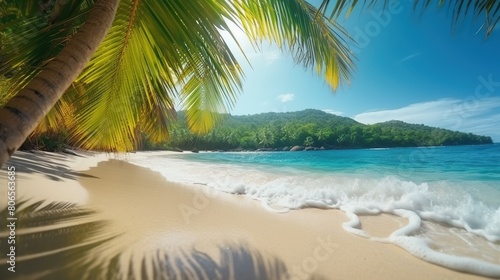 Beautiful sunny beach, tropical island with palm trees, turquoise water and bright blue sky. Summer vacation concept. Sea sandy coast. Outdoor background. Ocean shore. © vlntn