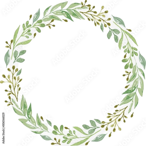 laurel wreath isolated on white  green laurel wreath