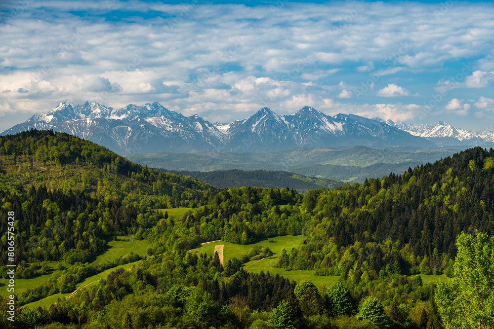 Obraz premium Green hills of Pieniny National Park and snowy Tatra Mountains in background in Poland