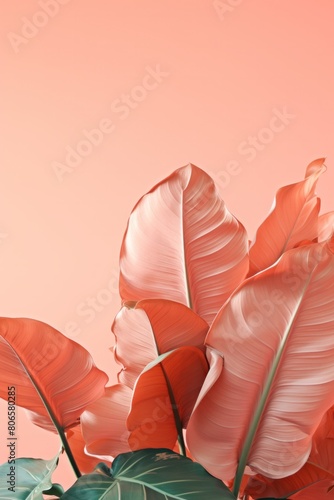 Collection of tropical leaves,foliage plant in peach puzz color with space background photo