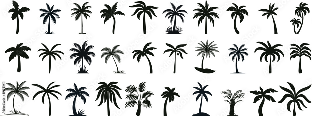 tropical palm tree silhouettes, perfect for summer, travel, vacation designs. palm tree Vector illustrations of diverse shapes on a white background