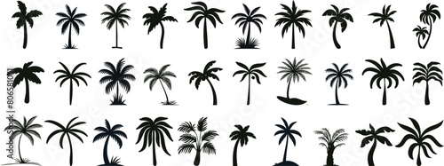 tropical palm tree silhouettes, perfect for summer, travel, vacation designs. palm tree Vector illustrations of diverse shapes on a white background © Arafat