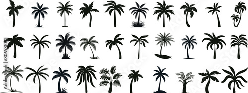 tropical palm tree silhouettes, perfect for summer, travel, vacation designs. palm tree Vector illustrations of diverse shapes on a white background