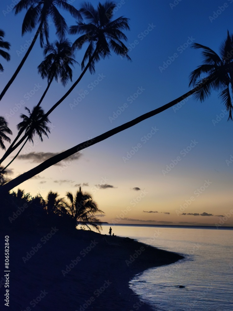 Fototapeta premium Person and trees at sunset