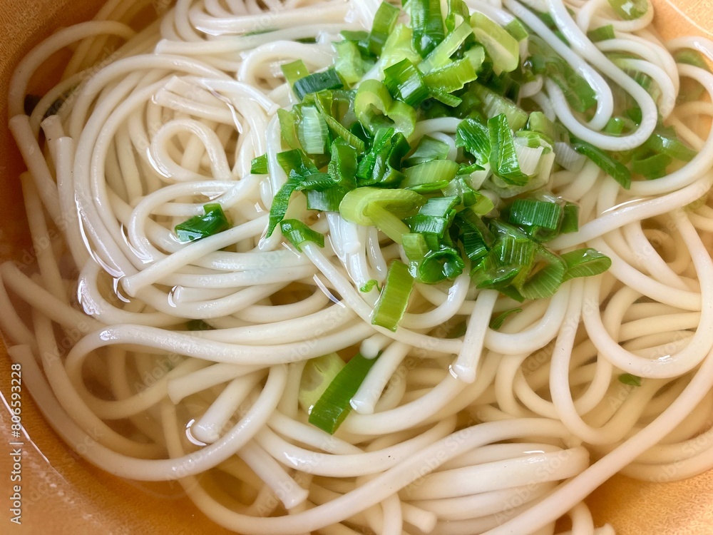 ネギたっぷりの長崎名物の五島うどん ネギたっぷりの長崎名物の五島うどん