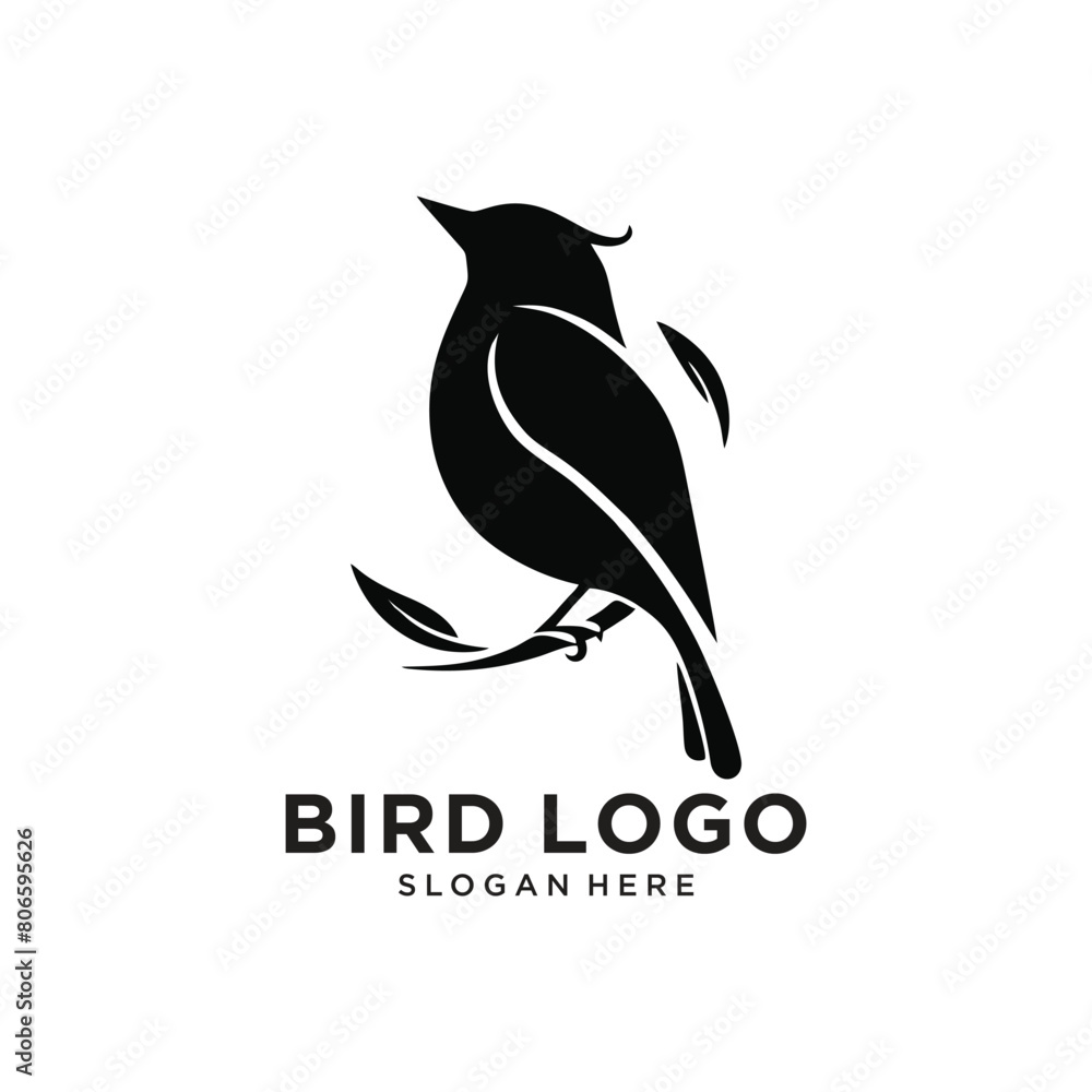 beauty black bird logo design vector illustration beauty black bird logo design vector illustration