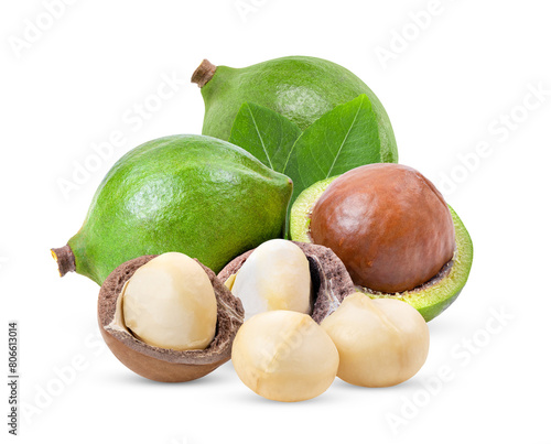 macadamia nuts with leaf isolated on transparent png © supamas