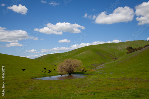 landscape with mountains and blue sky in Livermore, San Francisco East Bay, California