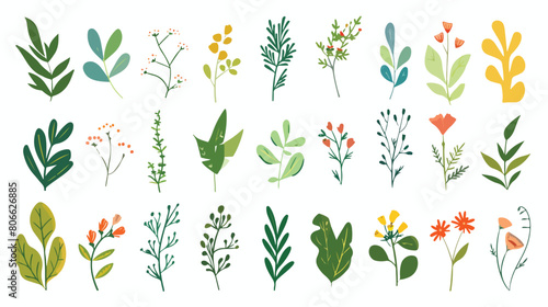 Pattern plants and herbs isolated icon vector 