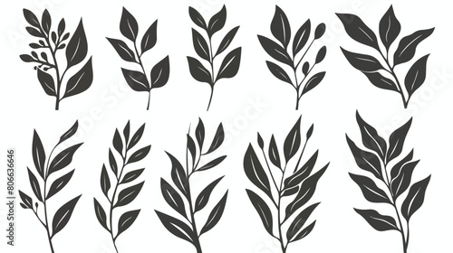 Set of monochrome laurel leafs Vector illustration. vector photo