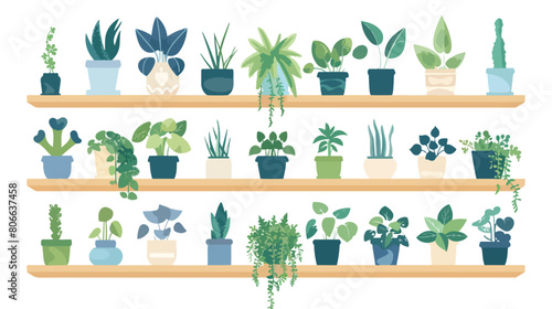 Shelf plants isolated icon Vector illustration. vector