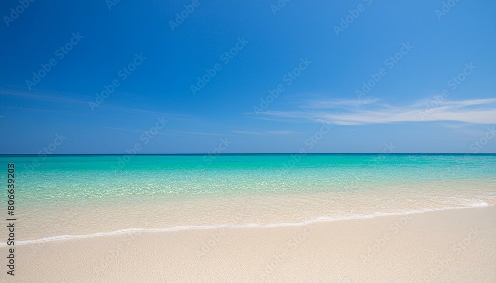 白い砂浜と青い海
