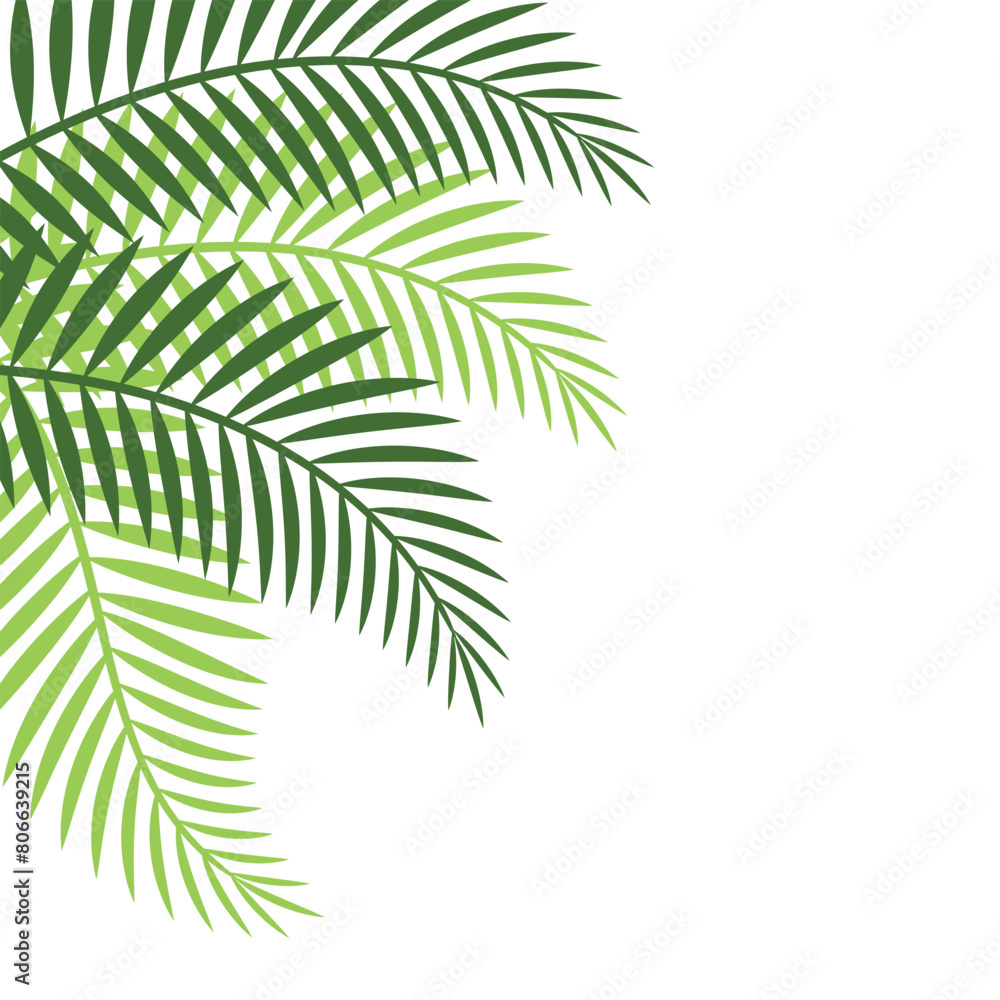 Palm Leaf Corner Palm Leaf Corner