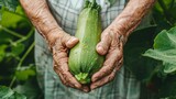 A Farmer Holding Fresh Zucchini