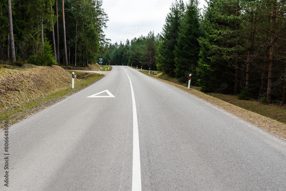 Winding empty asphalt in the forest, spring. Winding empty asphalt in the forest, spring.