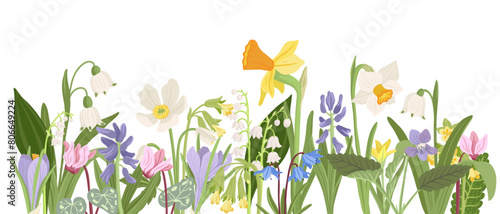 spring flowers, vector drawing wild plants at white background, floral composition, hand drawn botanical illustration