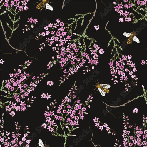 Seamless pattern with blooming heather and bees