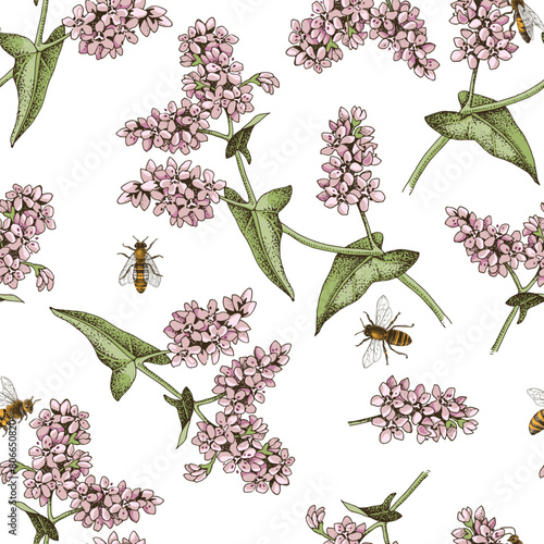 Seamless pattern with honeybees pollinating blooming buckwheat plants