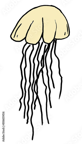 Hand drawn jellyfish isolated on white background.