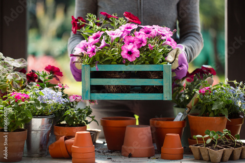 Person holding flower seedlings in a wooden box 