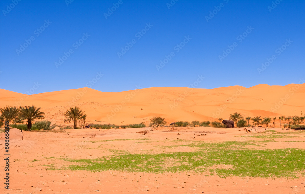 Eine Oase in der Wüste