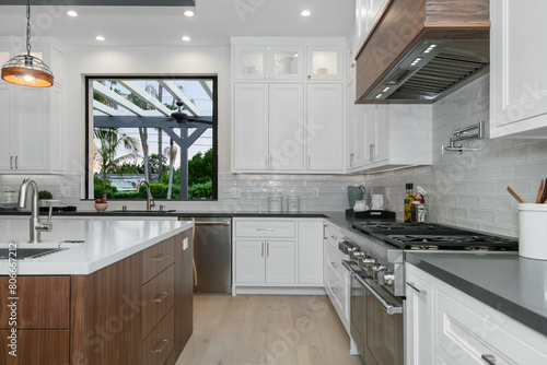 Kitchen in a modern new construction home in Los Angeles