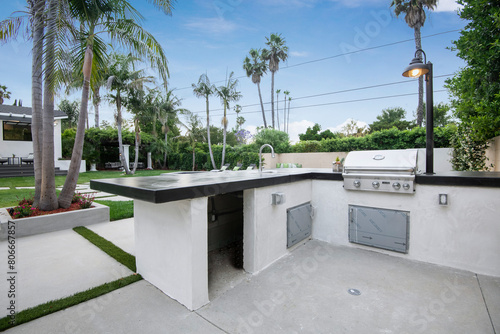 Outdoor kitchen with palm trees backdrop in a modern new construction home in Los Angeles