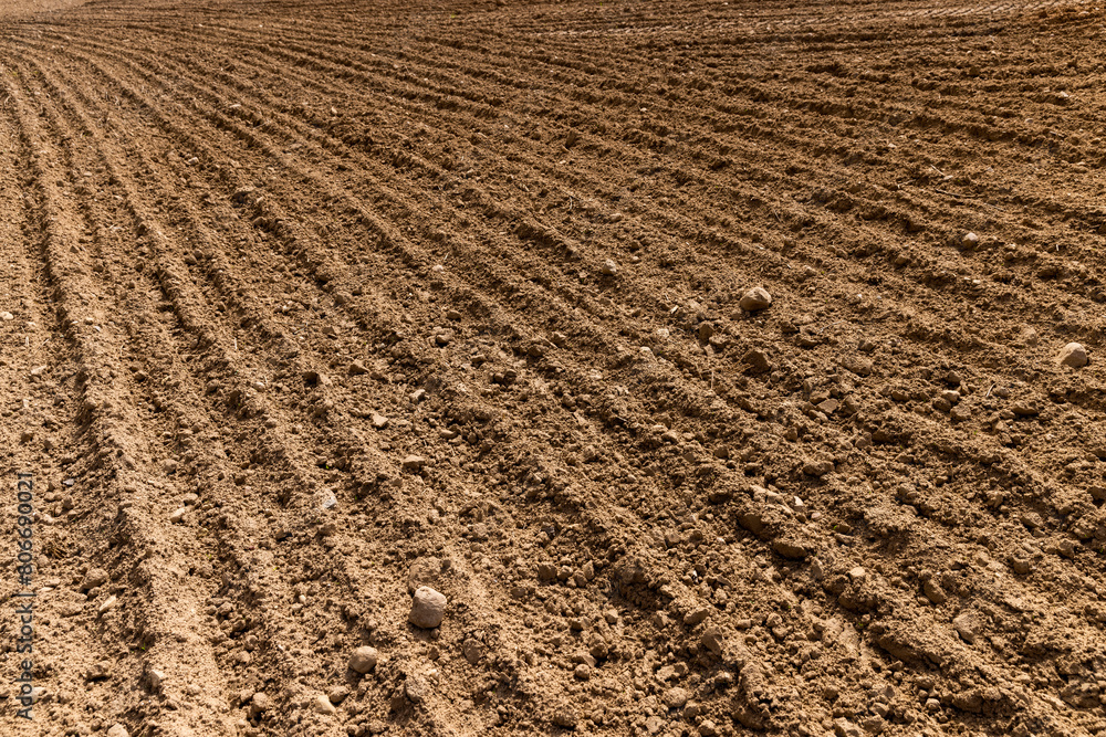 preparing the soil for sowing a new crop of plants preparing the soil for sowing a new crop of plants