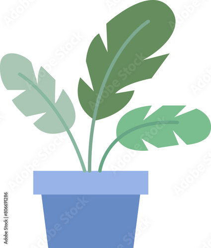 Green plant in the flowerpot